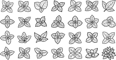 Food and Herbal Industry Black  White Line Art Collection of Mint Leaves and Herb Icons. Outline Vector Graphics for Culinary, Refreshment, and Nature Themes © pixsource