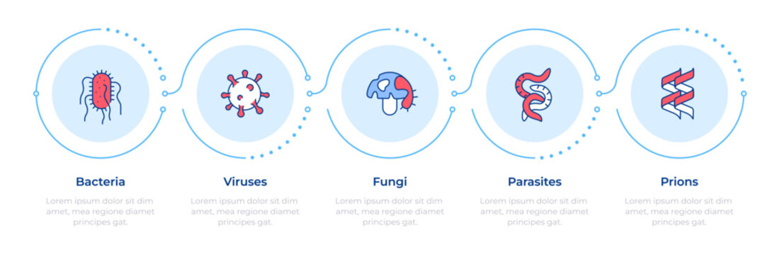 Pathogen classification types infographic 5 steps. Medical treatment, infection spread. Flow chart infochart. Editable vector info graphics icons. Montserrat-SemiBold, Regular fonts used