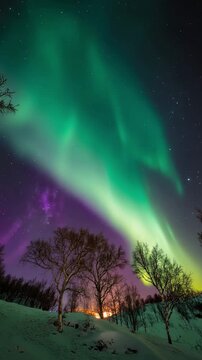 The inventor of the Aurora prediction software tests real-time geomagnetic storm alerts with a beta user group assembled in a public park as the northern lights shimmer overhead, confirming forecasts.