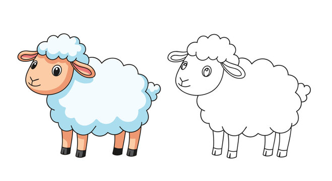 Fluffy white sheep shown in a full-color cartoon style alongside a black and white line art version for coloring and educational tasks.