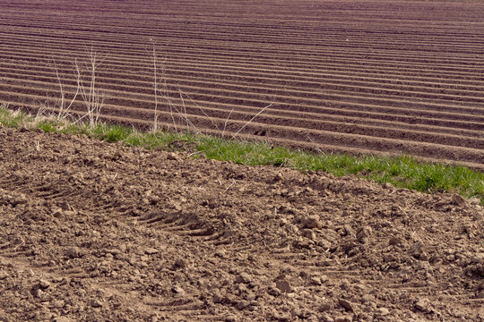 Agricultural fields divided by grassy boundary strip. Visible plowed soil and crop rows forming patterns in rural landscape, illustrating land division and field margins