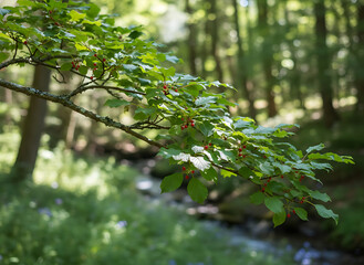 Fototapeta premium A blurry photo of a tree branch over a stream