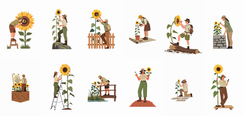 Naklejka premium Collection of diverse explorers and botanists studying sunflowers in various outdoor scenes using magnifying glasses, notebooks, and cameras for nature observation.