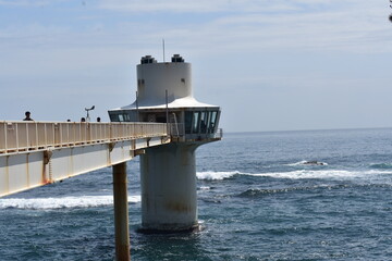 かつうら海中公園 © まじん