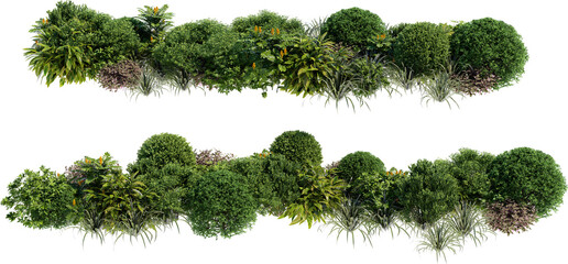Shrubs and flower on a transparent background © jomphon
