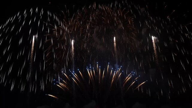 Fireworks light up the night sky