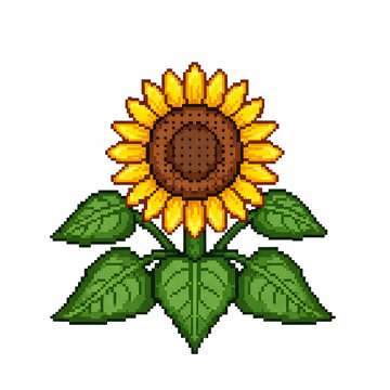 Vibrant pixel art sunflower isolated on white background