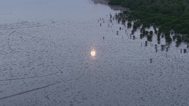 Moonlight reflecting on tidal mudflat with scattered mangroves captured from an aerial drone.