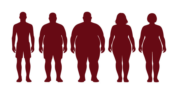 Human body type silhouettes, male and female body shapes, diverse body mass index (BMI) representations, health and wellness vector illustration for medical and fitness content.