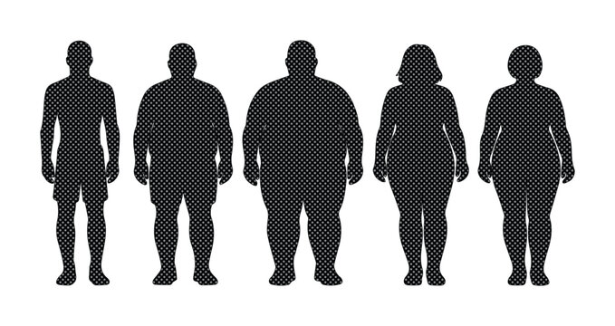 Human body silhouette vector set, male and female figures illustrating different body types and weight stages, health and fitness concept, medical and wellness graphic resource