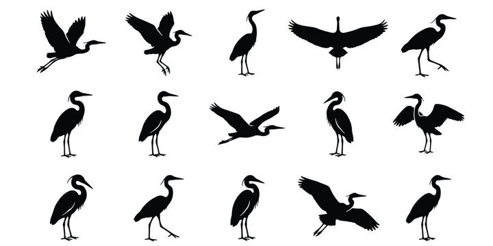 Heron silhouette vector collection, 15 black crane bird icons in flight and standing poses, elegant egret wildlife shapes for nature design