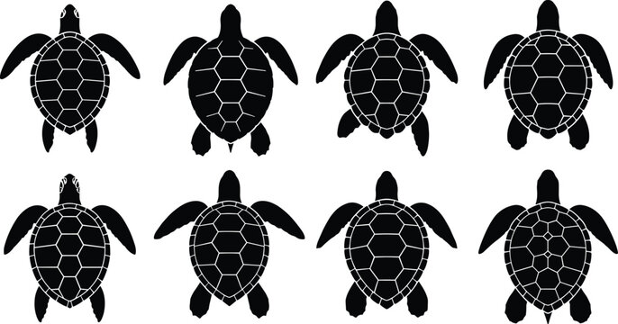 Sea turtle silhouettes vector set featuring multiple top view poses, marine wildlife icons isolated for ocean, nature and conservation design use