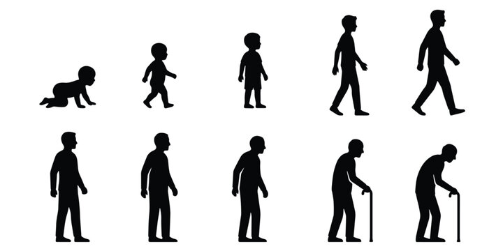 Human life cycle silhouettes showing aging process from baby to elderly man, male growth stages vector set, evolution of man from childhood to old age