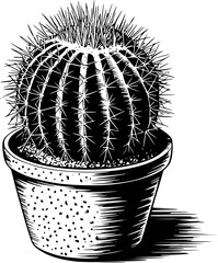 Black and white engraving style of a spiky barrel cactus in a potted plant succulent © Iman