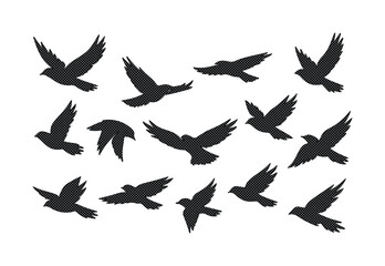 Naklejka premium Flying bird silhouettes, a flock of black birds in various flight poses, dynamic avian vector set for nature and wildlife designs