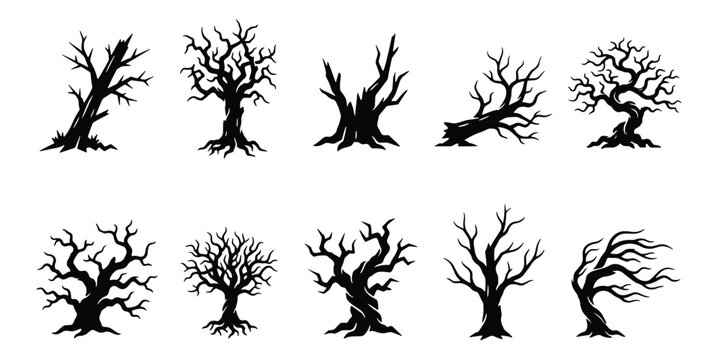 Spooky dead tree silhouettes, set of 10 leafless gnarled tree vectors, creepy black forest branches for Halloween design and horror landscapes