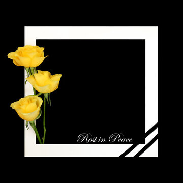 Rest in peace white rose flower memorial tribute on dark gray background. Floral design for funeral invitation in sympathy card with text.