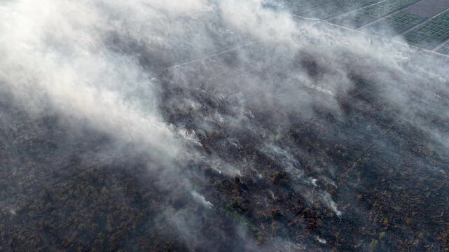 Drone aerial of smoldering peat soil fire producing dense smoke over burned palm plantations.