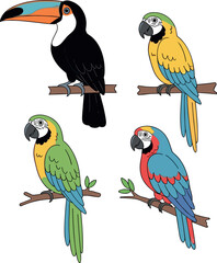 Fototapeta premium Set of tropical exotic birds including toucan and colorful macaws sitting on branches isolated on white background for summer nature wildlife vector design projects.