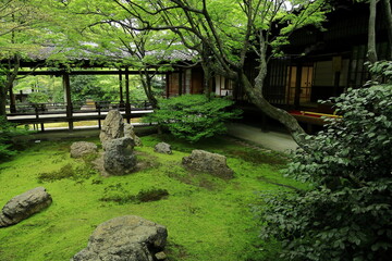 Fototapeta premium 建仁寺にある方丈庭園の潮音庭