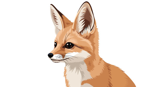 Detailed portrait illustration of a fennec fox head showcasing its iconic large pointed ears and expressive dark eyes with soft orange and white fur.