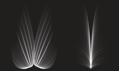 Open book with floating feather on abstract black background in fantasy library style illustration © Abdullah Rubel