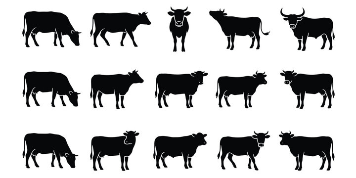 Black cow silhouettes set, 15 cattle vector icons of bulls and heifers, farm animal livestock collection for dairy and meat industry branding
