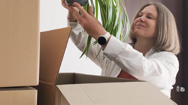 Unboxing process. New apartment involve woman removing green plant from cardboard box. This activity marks final stage of settling into fresh living space. Unboxing process starts new apartment life.
