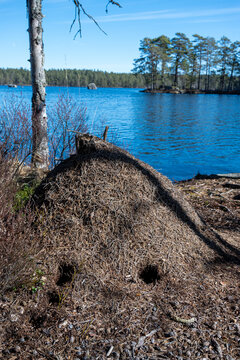 Anthill infront of calm blue water and sky