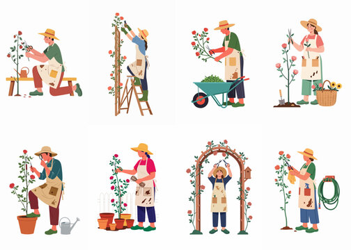 Set of flat illustrations featuring people gardening, pruning roses, and caring for plants with various tools and equipment on a white background.