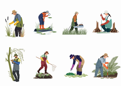A collection of flat design illustrations showing various environmental scientists and researchers conducting field studies in wetland and aquatic ecosystems.