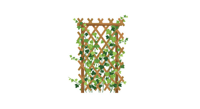 A rustic wooden diamond trellis supports a climbing green ivy vine with delicate leaves against a clean and bright white studio background environment.