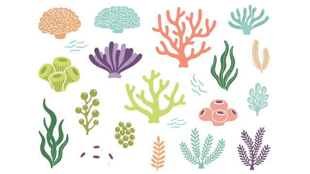 Colorful marine coral reef and seaweed icons vector collection set