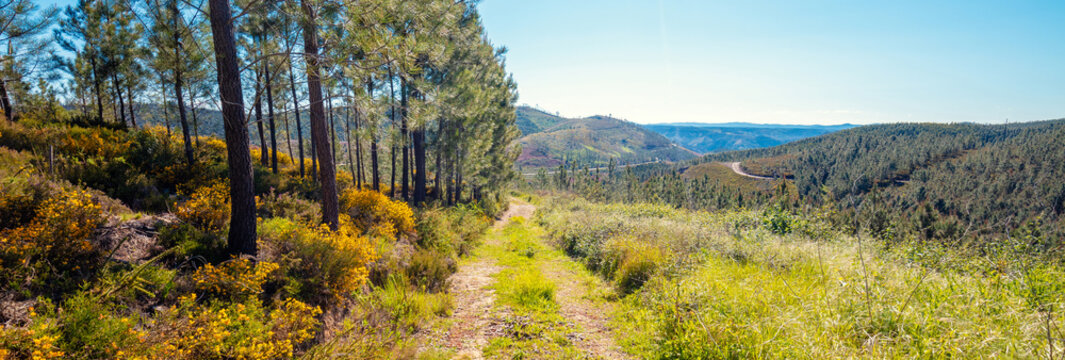 Mountain landscape. Dirt road in the Serra da Estrela Natural Park, Portugal