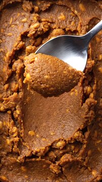 Metal spoon scooping rich Japanese miso paste with visible soybeans, high texture, loop