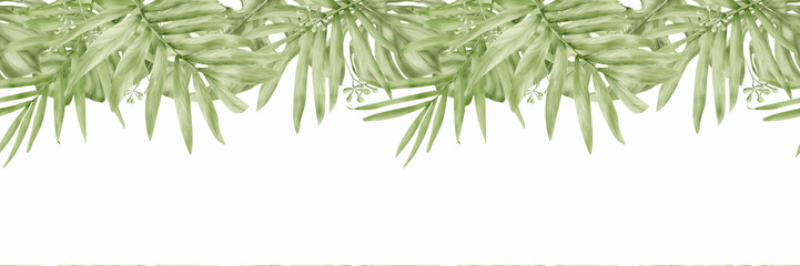Palm and monstera leaves, seamless border. Watercolor illustration. The drawing was drawn manually. The leaves of tropical trees are isolated on a white background. © Elena