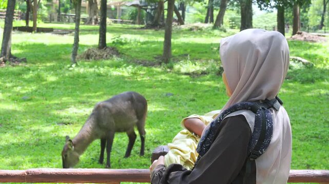 Woman at a zoo with child, observing animals behind a fence. Perfect for illustrating family outings, wildlife conservation, and education.