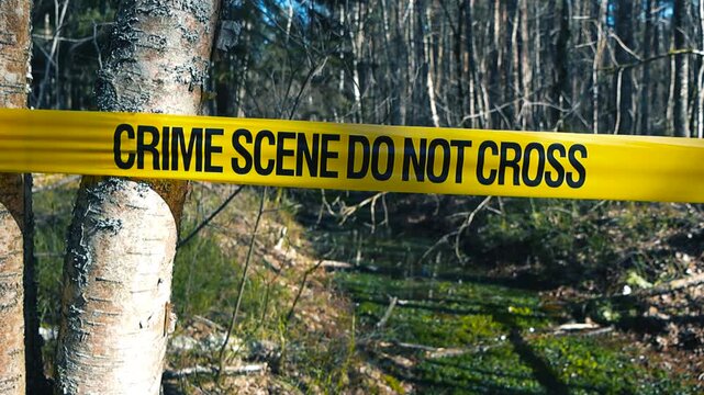 Crime Scene Do Not Cross Tape in a Sunny Forest