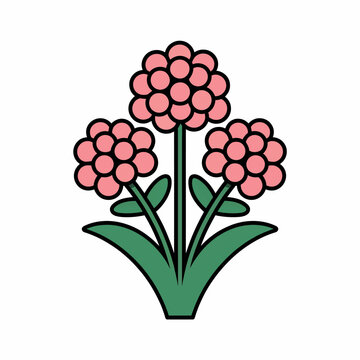 White candytuft flower illustration, iberis floral vector in minimal flat style