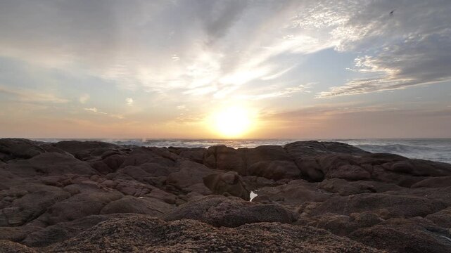 A golden sun rises over a rugged, rocky shore, casting a warm glow on the ocean and sky as waves lap gently against the rocks and birds swoop in enjoying the new day on the South Coast.