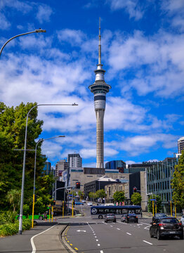 Sky tower dominating bustling auckland street scene