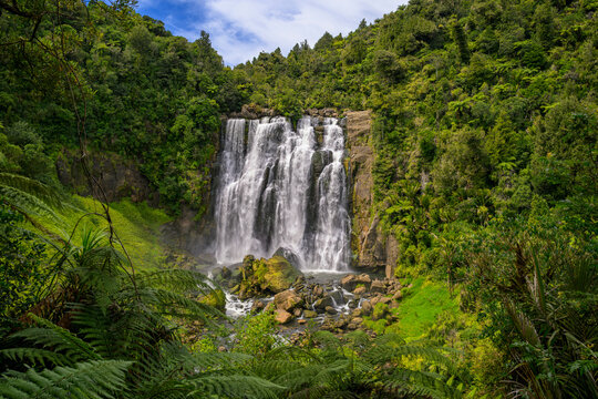 Marokopa falls plunging through lush New Zealand forest