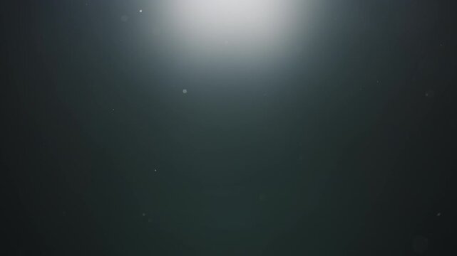 Real dust particles floating in air over dark background