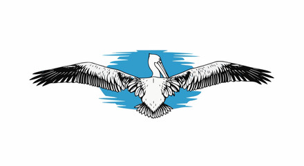 Obraz premium A black and white pelican with wings outstretched in flight