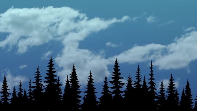 clouds in the forest