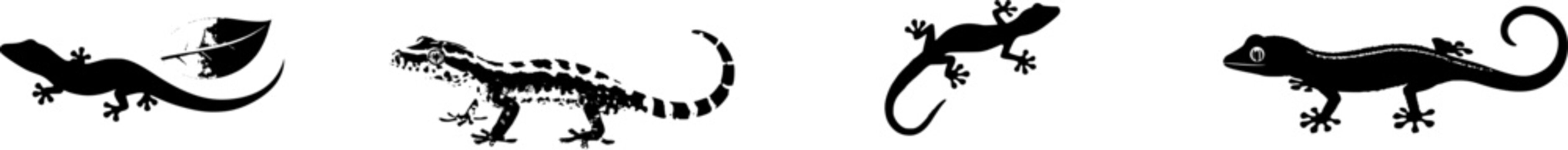 A stunning photorealistic image of a Leaf-Tailed Gecko showcases its remarkable camouflage with a flat, leaf-like tail and perfectly camouflaged body against a pure white background