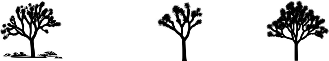 Fototapeta premium A solitary Joshua tree stands stark against a pristine white background, its spiky branches and desert leaves illuminated by bright studio lighting in an 8k ultra-sharp image with naturalistic