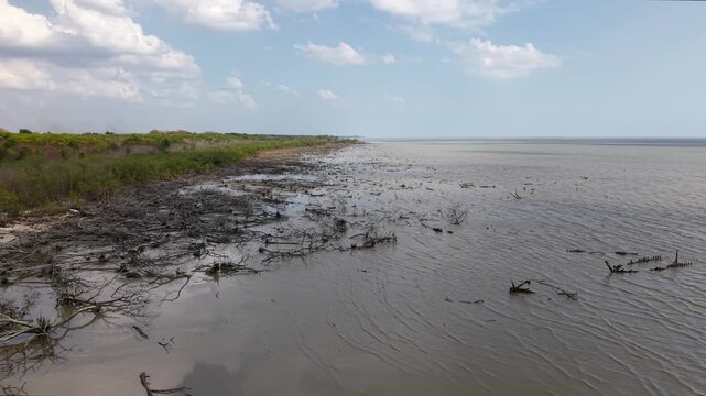 Aerial Drone View of Coastal Mangrove Deforestation