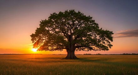 Obraz premium sunset in the morning