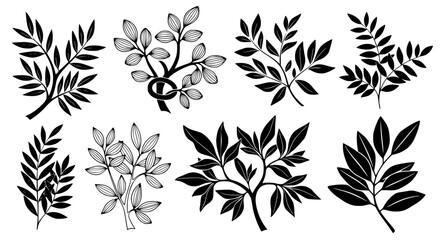 Fototapeta premium Botanical Leaves Vector – Stem & Plant Variation Set